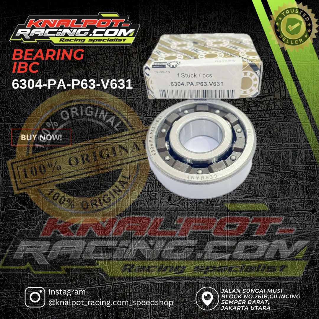 BEARING IBC 6304-PA-P63-V631